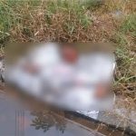 ঝালকাঠি সদর হাসপাতালে ড্রেনে মিলল মানব ভ্রূণ