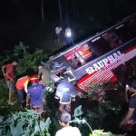 নিয়ন্ত্রণ হারিয়ে মধ্যরাতে ঢাকাগামী বাস খাদে, নিহত ১