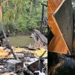 পিরোজপুরে আগুনে ১৪ দোকান ভস্মীভূত