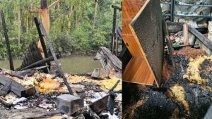 পিরোজপুরে আগুনে ১৪ দোকান ভস্মীভূত