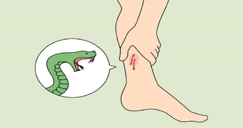 সাপের কামড়ে নারীর মৃত্যু