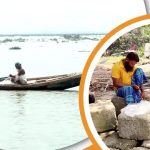 মেঘনা-তেঁতুলিয়া নদীতে ইলিশ সংকট, বিপাকে জেলেরা