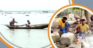 মেঘনা-তেঁতুলিয়া নদীতে ইলিশ সংকট, বিপাকে জেলেরা