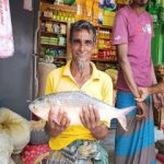 পায়রা নদীতে ধরা পড়ল ২ কেজির ইলিশ